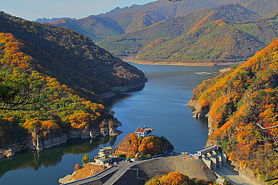 2023黄色：当香蕉皮成为赛道上的物理法则-2