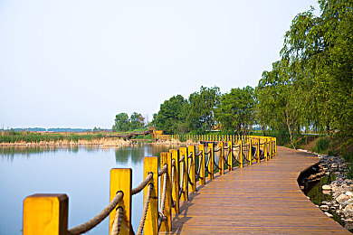 91爆:在墨西哥的广阔天地中,体验速度与操控的终极突破-2