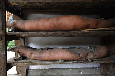 火辣辣APP导航下载大全：极速狂飙，虚拟赛道上的肾上腺素盛宴-1