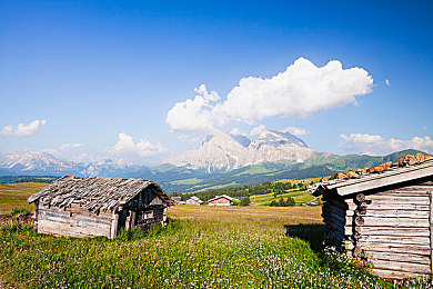 黄色软件网站下载3.0.3免费oppo版大全装扮免费：霓虹改装师3.0.3版本上线，免费装扮与OPPO专属优化全解析-2