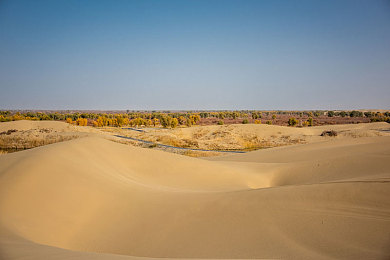 黄色app软件免费下载大全3.0.3：极速狂飙新纪元，移动端赛车游戏革新体验