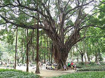 好色先生丅V:疾驰调色盘,破解赛道上的视觉谜题-3