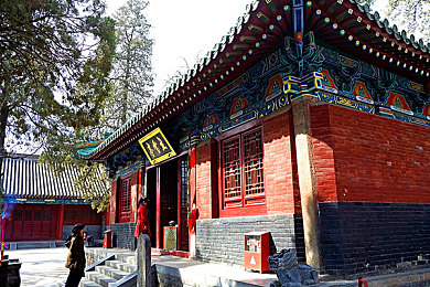 兽娘通信1-6全集免费：幻兽觉醒周年庆，限时解锁隐藏档案与极速赛道-2