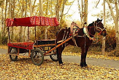 十大黄色污软件：黄沙赛道革新竞速，代码清洁玩法颠覆传统赛车游戏