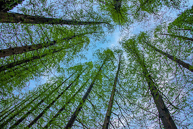 黄色软件下载3. 0:极速改装新纪元,地下狂潮席卷街头赛车世界-3