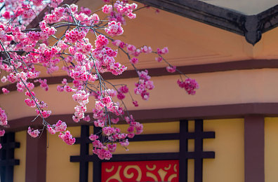 国产av剧情演绎：驾驶模拟新作今日上线，方向盘后体验三十年汽车工业变迁-1