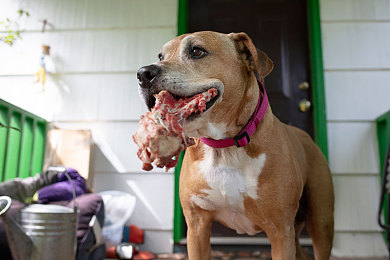 艹逼app:硬核赛车新作征服者上线,极致拟真挑战引爆玩家肾上腺素-3