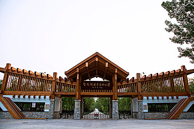 黄色应用免费下载OPPO：极速狂飙掀起竞速革命，OPPO设备专属优化带来全新体验-3