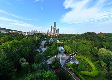 黄色软件下载4.0：霓虹都市极速传说，虚拟驾驶革命新纪元-2