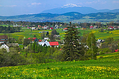 黄软件app大全免费下载2023安装手机版：2023年度极速盛宴，顶级免费手机赛车游戏全攻略-2