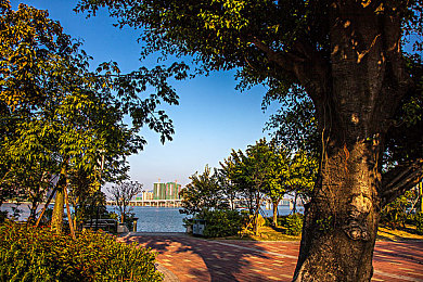 王者荣耀女英雄无爱心少司缘:命运丝线掌控者,峡谷战术新核心登场-2