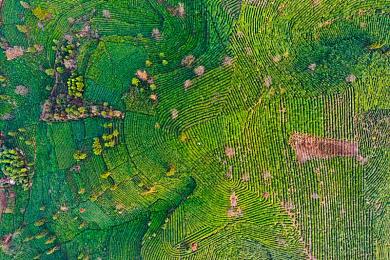 黄金软件下载3.0.3免费OPPO版大全装扮：极限改装王深度解析，打造专属座驾的移动端改装盛宴-1