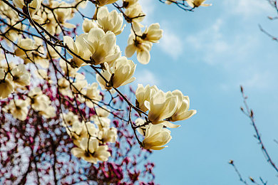 男生和女生差差下载：性别偏好大不同，极速幻想地平线揭示赛车游戏多元玩法