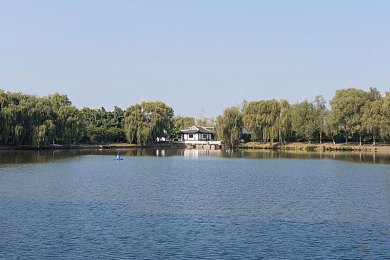 91揭秘：编程竞速新纪元，用代码改写赛道极限传说-2