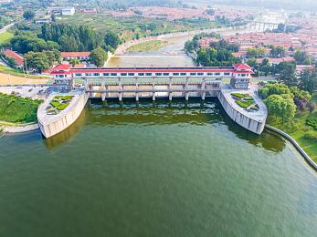 猫咪最新官方网站：萌宠赛车手登场，极速冒险与个性改装攻略全解析-2