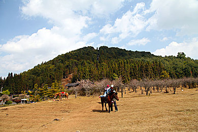 黄色软件ap：极速代码世界，虚拟赛道狂飙与黑客竞速革新-3