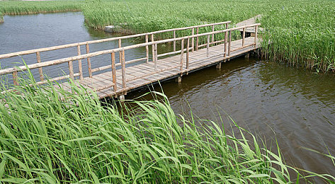 男生女生修修修轮滑鞋免费下载:街头竞速新体验,硬核改装打造个性轮滑之旅-3