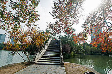 一卡二卡无码：极限竞速地平线5，从改装艺术到无界驰骋的墨西哥之旅-3