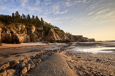 公猪与女人交配：《荒野狂飙》今日上线终极改装挑战，废土座驾与机械师传奇引爆玩家社群-3