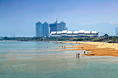 18岁以下禁止下载软件：街头狂飙终极指南，改装技巧与夺冠策略全解析