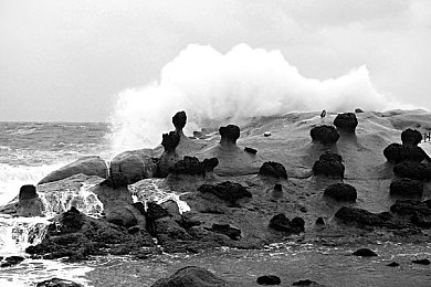 极端 残忍 拳头交:狂怒引擎,废土战车,生存竞速的终极对决-4