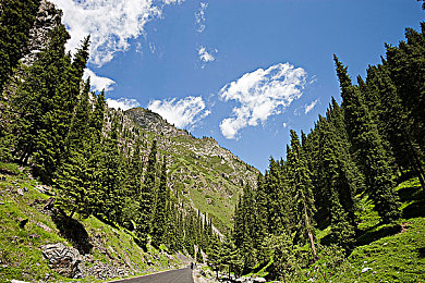 女生让男生诵自己:双人语音领航实战指南,极限竞速地平线5协作玩法深度解析-2