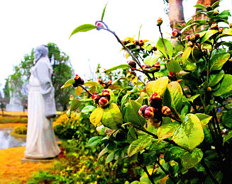 十大禁止安装应用入口下载未下载：远离风险模组，安全驰骋赛博朋克竞速世界-2