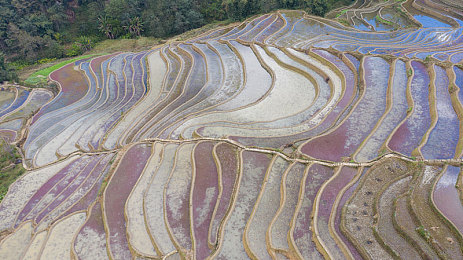 美女把内衣扒露出奶头视频软件：霓虹迷踪，数据剥离与未来都市的竞速博弈-2