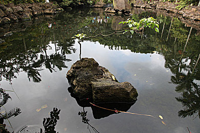 管鲍中心分拣交流中心:末世物流与人际网络,重建文明的双重枢纽-2