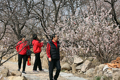 男生把困在女生困困里：心灵纽带双轨，竞速协作共驰-1