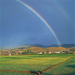 汤不热v8.5破解破解最新版:玩家自制模组风靡地平线5,解锁隐藏车辆与极致画面引发热议-3