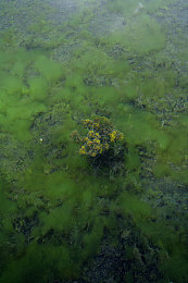 一都二区：征服地平线，新赛季双领域制霸攻略全解析-2