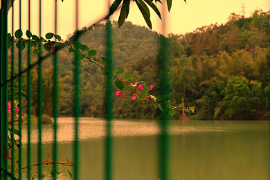 xdevios中文免费版安装4.4.5：极限驾驶城市狂飙新版发布，开放世界竞速与深度改装免费体验-4