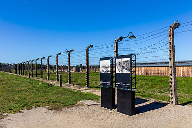 男生和女生在床上的APP:极速心跳同频,双人共驾未来都市竞速之旅-2