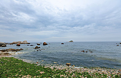 黄色不要钱：镀金之旅，地平线上永不褪色的荣耀追逐-4