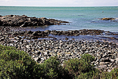 15少年男同18少年男同：双生车魂共鸣极速，改装与竞速共舞青春赛道-3