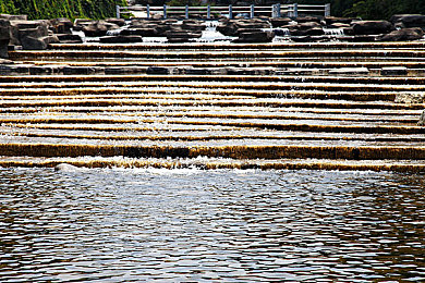 18款禁用app：虚拟黑客入侵现实座驾，赛车游戏揭露智能汽车安全隐忧-2