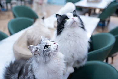 黄片十大禁用软件：《极速风云》发布安全驾驶指南，十大危险行为可致虚拟车毁人亡-2