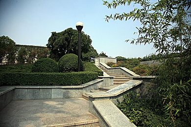 XDEVIOS中文免费版安装方法：街头竞速新作登场，极致改装与逼真驾驶体验全解析-2