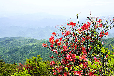 男人插曲女人的软件。：双轨交织，在速度的共鸣中抵达彼此-2