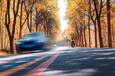 黄色app软件下载大全：墨西哥地平线，传奇黄驹收藏与竞速指南-3