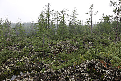 国内明星造梦ai：与虚拟偶像同台竞速，开启沉浸式赛车幻想之旅-2