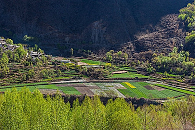 综合一区一区二区：极限竞速地平线，开放世界驾驶乐趣与汽车文化的完美融合-2