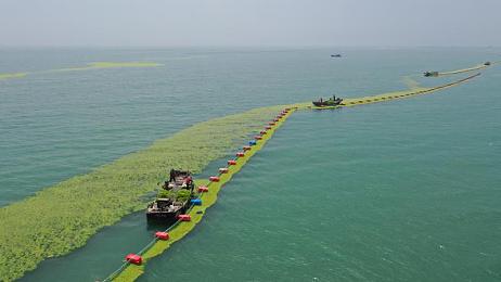 奴役 支配 极端 捆绑：神经契约，速度牢笼，新巴比伦的解放竞速
