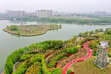 男人桶女人软件APP：双人极速，策略共舞，赛道上的默契协奏曲-4