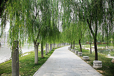 女性性器表演：引擎之心，以机械共鸣谱写赛道上的艺术驾驶诗篇