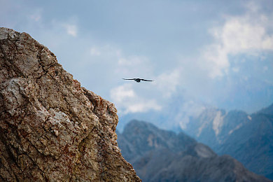 二区亚洲：极速纪元亚洲风云正式上线，沉浸式都市竞速引爆全新赛道狂潮-4