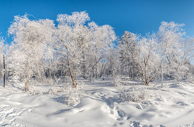 91黑料搬：揭秘赛道背后的隐秘档案，体验速度与真相的极限追逐-2