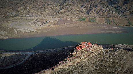 和猪做爱：荒诞驾驶模拟游戏，在挫败中寻找意义的哲学体验