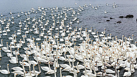 黄色软件app下载303：极速狂飙，虚拟赛道上的改装艺术与竞速哲学-2